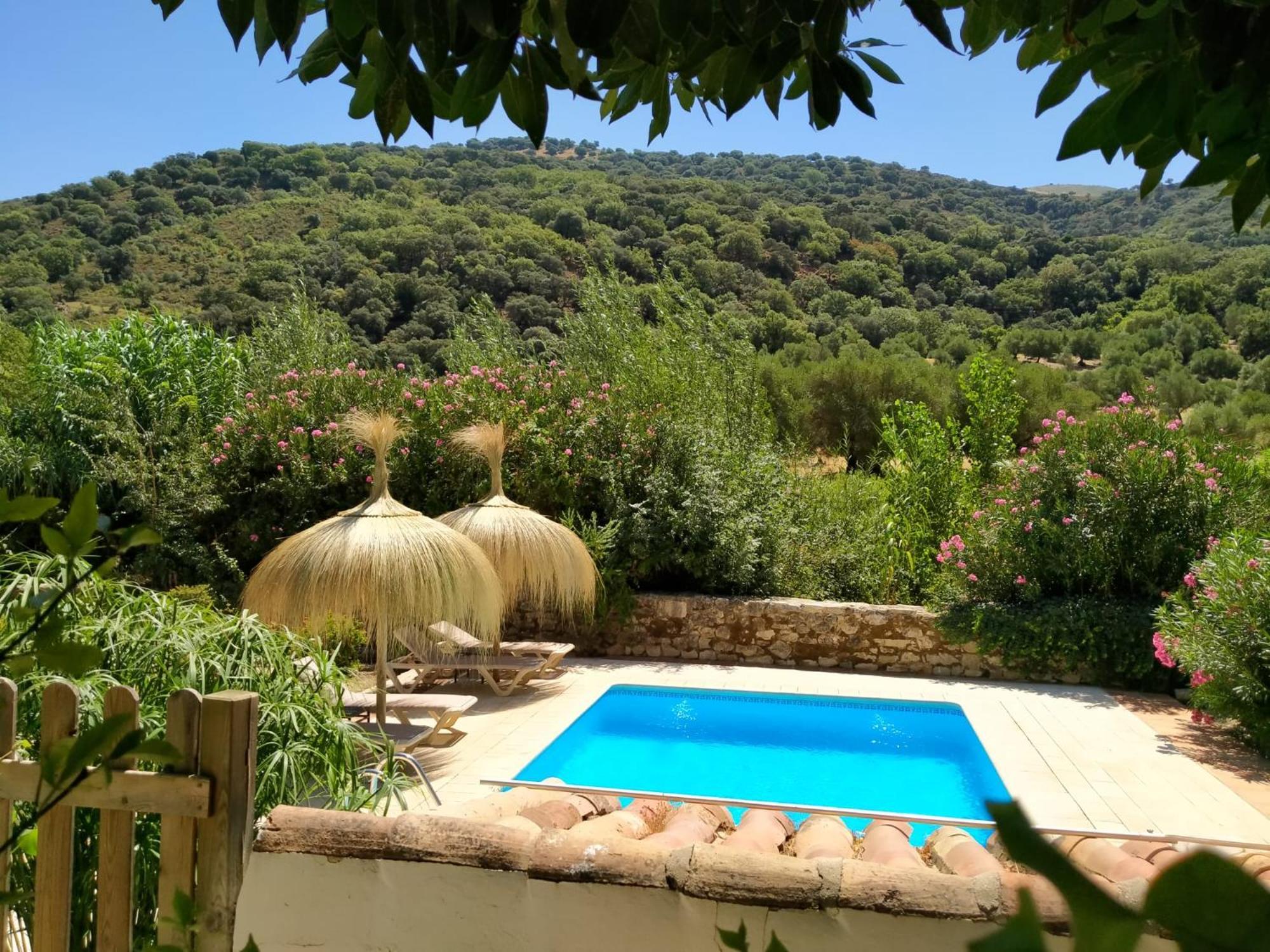 Molino Del Caracol Villa Benaoján Rom bilde